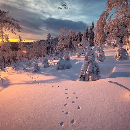 Gorczański Kącik *