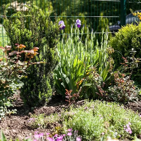 Gorczański Kącik * Ochotnica Dolna