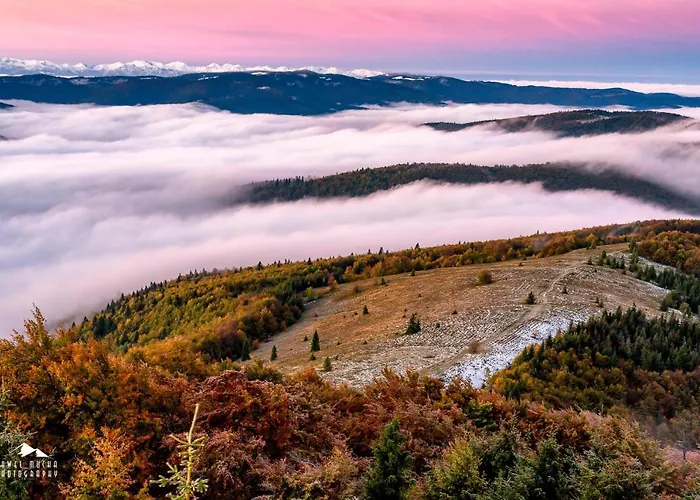 홈스테이 Gorczanski Kacik