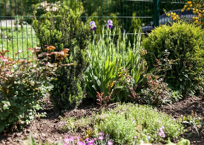 Gorczanski Kacik * Ochotnica Dolna